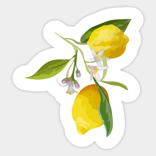 Lemons Sticker